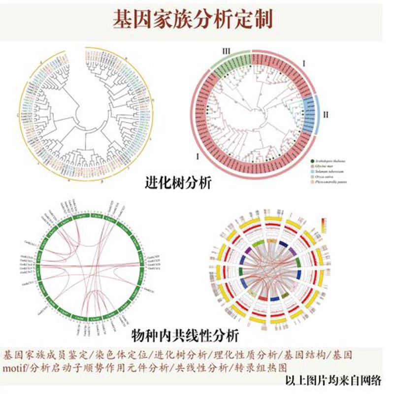 生物科技公司的创新浪潮
