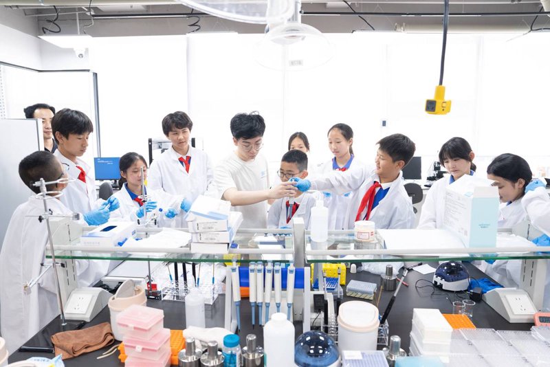 分子生物学实验